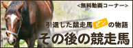 その後の競走馬