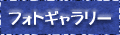 tHgM[