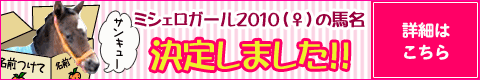 ~VFK[2010̔nA肵܂II